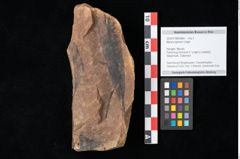 Foto (Objekt + Etikett) von Myrica lignitum Unger (NHMW-GEO-2024-0188-0584)